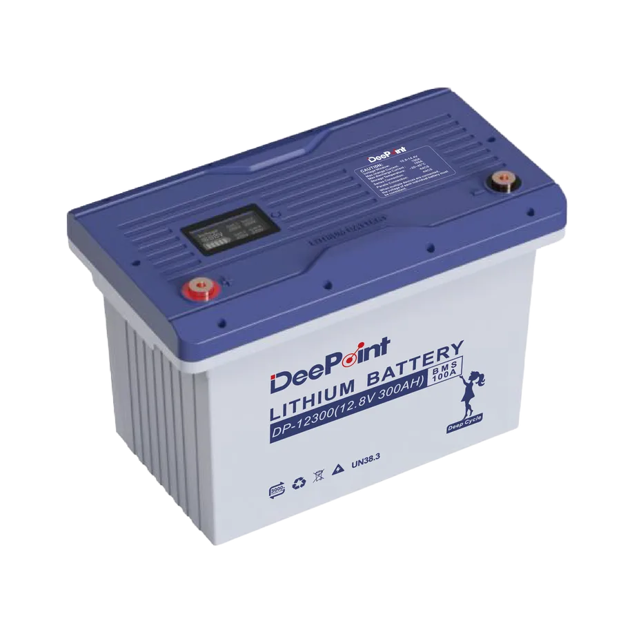 DP-12300