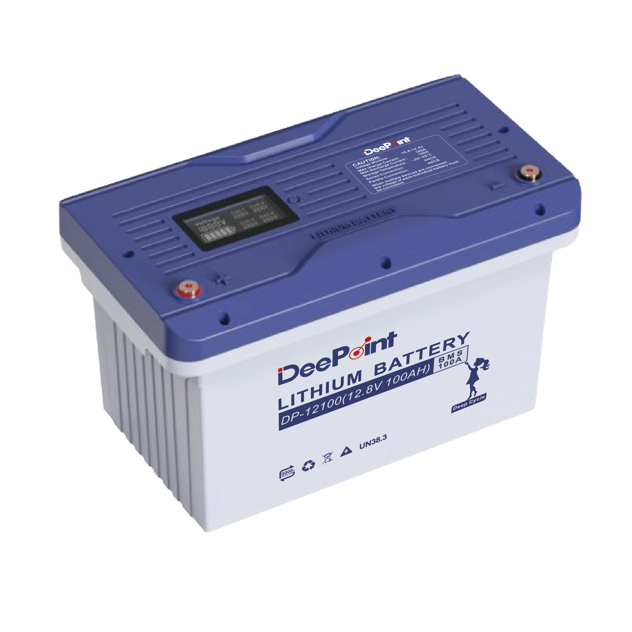 DP-12100