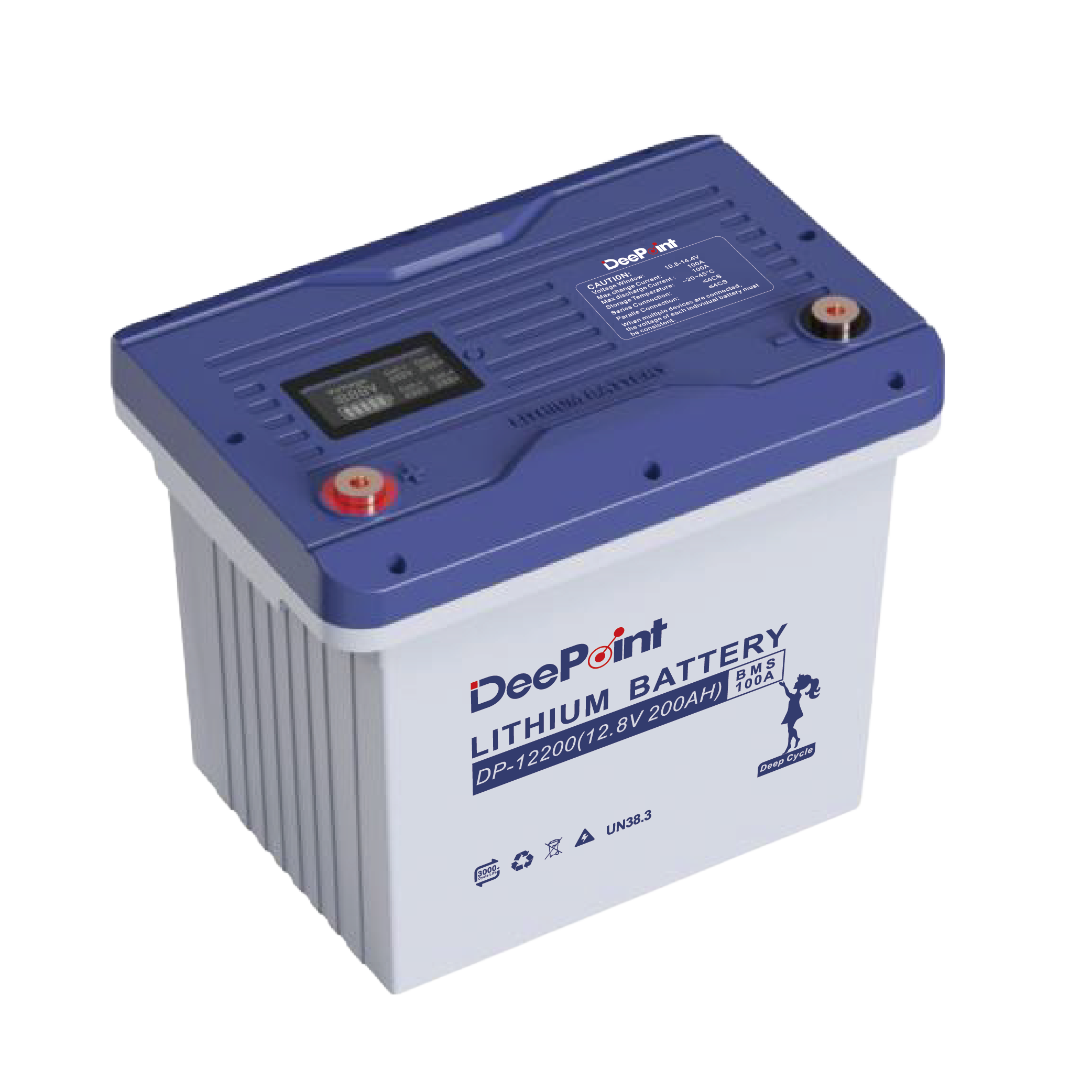 DP-12200