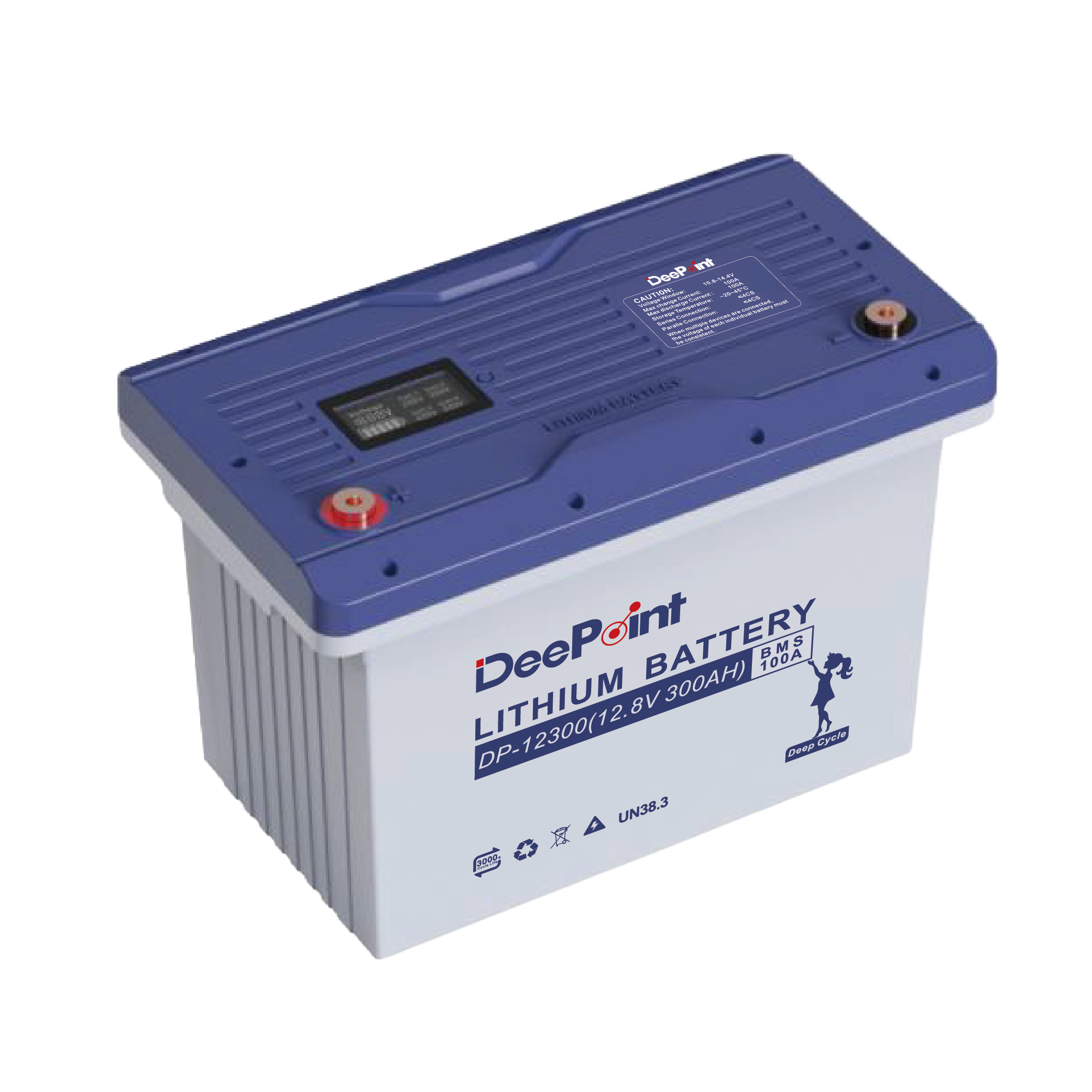 DP-12300